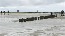 eiland Griend in de Waddenzee